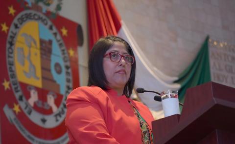 La diputada del PVEM Victoria Cruz Villar estaba a favor de la aprobación del dictamen. 